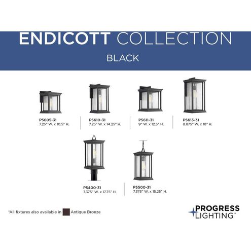 Endicott 1 Light 14.25 inch Textured Black Outdoor Wall Lantern, Medium